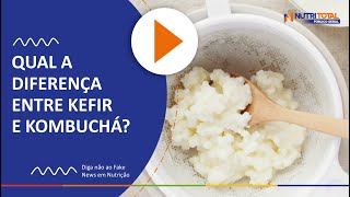 QUAL A DIFERENÇA ENTRE KEFIR E KOMBUCHÁ  NUTRITOTAL [upl. by Damalis]