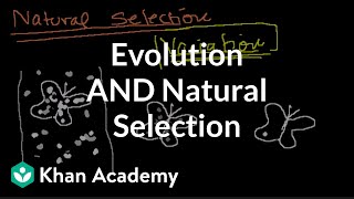 Introduction to Evolution and Natural Selection [upl. by Neenaej]