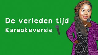 Karaokeversie  De verleden tijd Shirma Rouse  De Liedjeskast [upl. by Eiramyllek66]