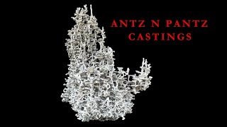 Look At The Size Of This Ant Mound Sculpture Our Largest Texas Fire Ant Aluminum Casting [upl. by Anwaf]