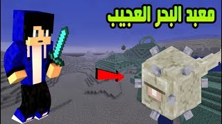 خليج كرافت الحلقة 14  اول شخص يستكشف معبد البحر في السيرفر ؟ [upl. by Mighell]