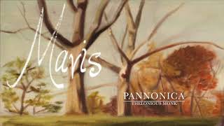 Pannonica  Thelonious Monk Cover [upl. by Lawry]