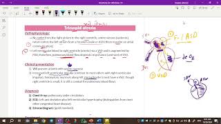 Pediatrics cardiology  tricuspid atresia amp ebstein anomaly amp truncus arteriosus [upl. by Eceertal]