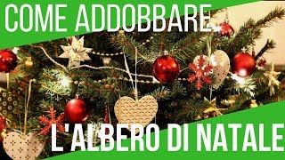 COME ADDOBBARE L ALBERO DI NATALE  5 TRUCCHI FONDAMENTALI  ORTO E GIARDINAGGIO [upl. by Nosreg]