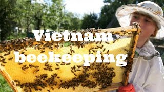 Journey through Vietnam  Meet beekeepers amp learn about beekeeping [upl. by Sukram252]