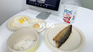 vlog  10월의 첫 붕어빵 자취생 필수 초간단 카레 레시피 이마트 장보기 비비고 생선 추천💪🏻 다이소 구경 하울 운동하고 축구보는 일상 브이로그 [upl. by Anuahsal]