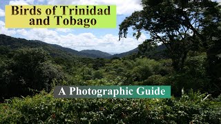 Birds of Trinidad and Tobago A Photographic Guide [upl. by Lennej]