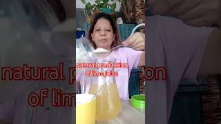 Kalamansi Juice youtube youtubeshorts youtubevideos yt ytshorts trendingshorts trending [upl. by Tavi]