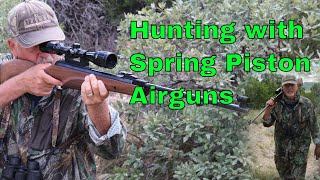 Five Reasons to Hunt with Spring Piston Airguns [upl. by Aenej391]