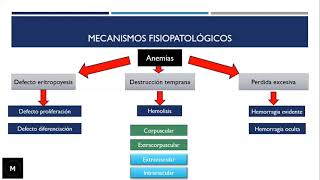 Síndrome anémico ¿Muchas causas de anemia  Medilogía [upl. by Leahcar]