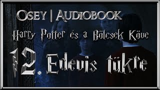 Harry Potter és a Bölcsek Köve hangoskönyv  12 fejezet [upl. by Nmutua299]