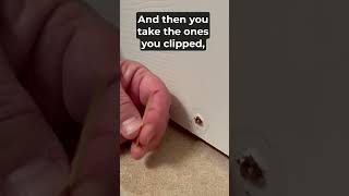 Fix a Stripped Screw Hole Using Toothpicks In Under 2 Minutes [upl. by Neladgam]