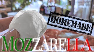 Mozzarella Käse selber machen Aber RICHTIG ohne Zitronensäure [upl. by Smaj]