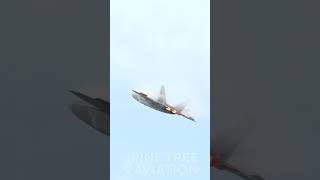 F22 whipping into the vertical shorts [upl. by Tivad]