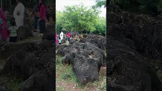 Fossil park in Sonbhadra salkhan badhta hua parvat increasing mountain [upl. by Coppock]