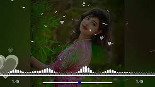 বাবা মিসকিন শাহ্  Vandari dj song 2024  Dj Abutaher [upl. by Noguchi]