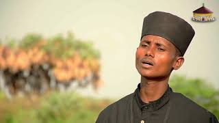 DNKUAN HAGOS  ገባሬ ተኣምር  ብቤትሰገሊላ ማርያም ሻምብቆ  NEW ERITREAN ORTHODOX CHURCH MEZMUR 2019 [upl. by Dusty]