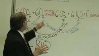 Professor Fink explains CELLULAR RESPIRATION Part 2 ATP Role of O2 [upl. by Aileve21]