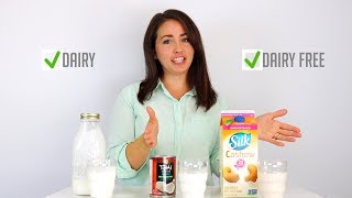 Dairy Free Kefir Taste Test [upl. by Yaral]