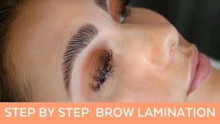 Brow Glaze Step By Step Training For Brow Lamination [upl. by Aiza34]