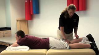 Hamstring reflex [upl. by Weixel]