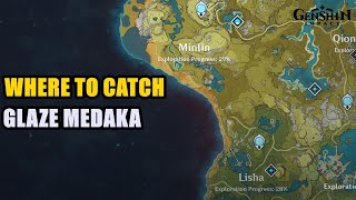 Where to Catch Glaze Medaka Genshin Impact [upl. by Edras448]