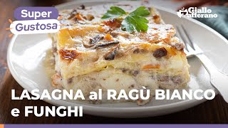 LASAGNE al RAGÙ BIANCO e FUNGHI CHAMPIGNON RICETTA SUPER RICCA e GUSTOSA ❤️🍄😍 [upl. by Zebulon]