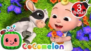 JJ Plays With His Baby Farm Animals 🐮 CoComelon Nursery Rhymes amp Kids Songs  3 HOURS  After School [upl. by Alleroif373]