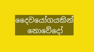 Daiwayogayakin Nowedo karoake without voiceදෛවයෝගයකින් නොවේදෝ [upl. by Dimmick]