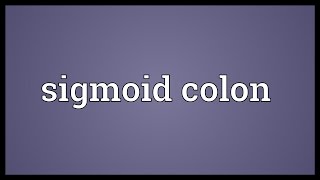 Sigmoid colon Meaning [upl. by Dream]