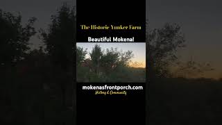 The historic McGovney Yunker Farm in Mokena at Sunset history [upl. by Arekat]