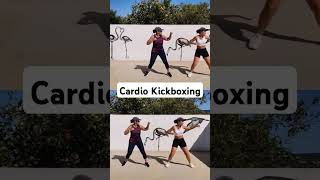 Treino Cardio Kickboxing  160 bpm [upl. by Tevis]