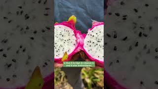 Selenicereus undatus  Also known as pitahaya Dragon Fruit is just as delicious as it is beautiful [upl. by Caterina274]