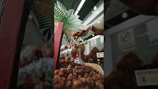 DATES HUB  Nesto Hypermarket Saudi Arabia [upl. by Secnarfyram]