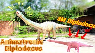 MY DINO  Large Size Animatronic Diplodocus for Park [upl. by Zemaj897]