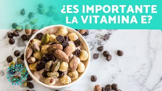 ¿Para Qué SIRVE la VITAMINA E 🤔 5 Beneficios de la Vitamina E [upl. by Zetniuq506]