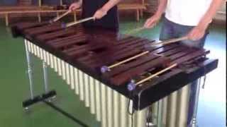 Amelie  comptine dun autre été on marimba cover [upl. by Arihsan948]