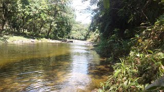 Pirinéus Rio 40 graus em Silva Jardim RJ [upl. by Buford]