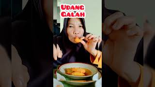 Makan Udang Galah Masak Santan keseharianaurorakhansa shorts mukbang [upl. by Vtarj700]