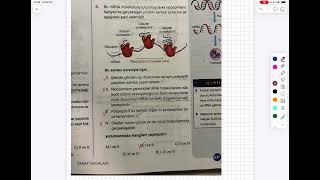 MIKAIL BİYOLOJİ PROTEİN SENTEZİ SORU VE CEVAPLARI [upl. by Aksoyn]