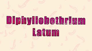 10 Diphyllobothrium Latum  العوساء العريضة [upl. by Cini]