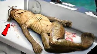 समुद्र में मिली 10 सबसे अजीब चीज़ें  Unexplained Things Found In Ocean [upl. by Mukerji206]