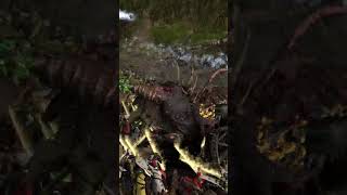 Skaven vs Bretonnia warhammer [upl. by Poole963]