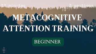 Beginner 1  Attention Training Technique ATT for Metacognitive Therapy MCT [upl. by Schalles900]