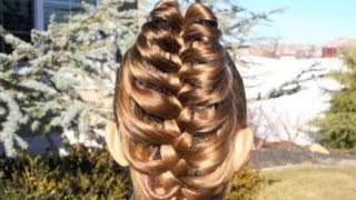 Beautifully Unique Cage Braid Ponytail  Disney Style [upl. by Parcel]