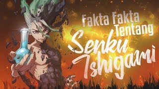 7 Fakta Tentang Senku Ishigami Dari Anime Dr Stone [upl. by Droffilc]