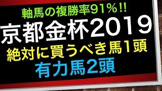 京都金杯2019【絶対に買うべき馬1頭】【有力馬2頭】 [upl. by Yendic]