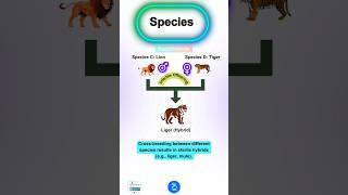 Species Concept  All about the Species [upl. by Brasca306]