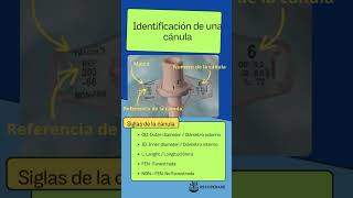 Traqueostomia Percutánea Parte 4 terapiarespiratoria traqueostomia educacionmedicacontinua uci [upl. by Ricketts]