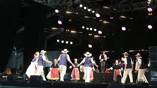 Festival Interceltique a Lorient  2017 Cercle Ar Vro Vigoudenn 1 [upl. by Natanhoj]